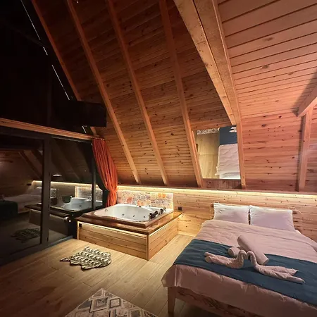 Dvabi Domek alpejski Çamlıhemşin